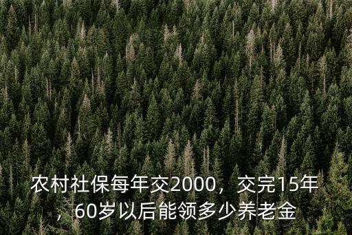 安徽農村養老保險每年交2000能領多少,60歲以后能領多少養老金