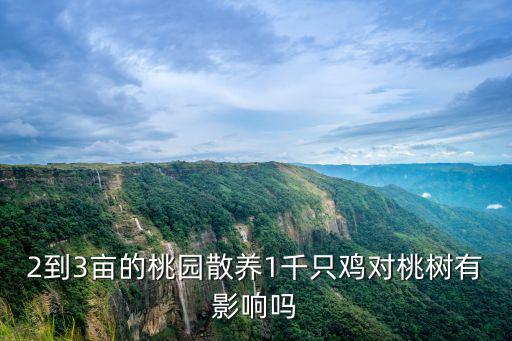 河北順平縣有多少畝桃園,我有150畝桃園