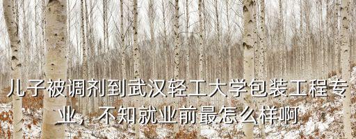 兒子被調(diào)劑到武漢輕工大學(xué)包裝工程專業(yè)，不知就業(yè)前最怎么樣啊