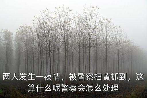 武漢掃黃抓到人一般怎么處理,被警察掃黃抓到