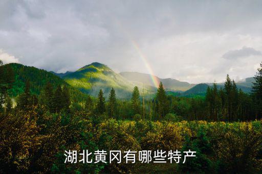 湖北黃岡有哪些特產