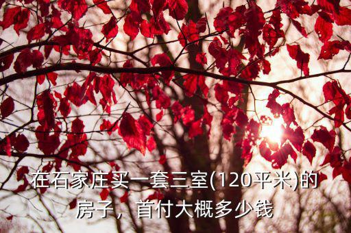 石家莊100多平首付多少錢,首付大概多少錢