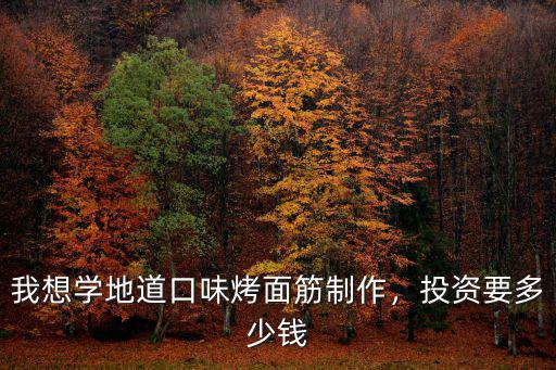 我想學地道口味烤面筋制作，投資要多少錢