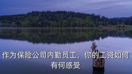 新華保險湖北分公司內勤工資怎么樣,作為保險公司內勤員工