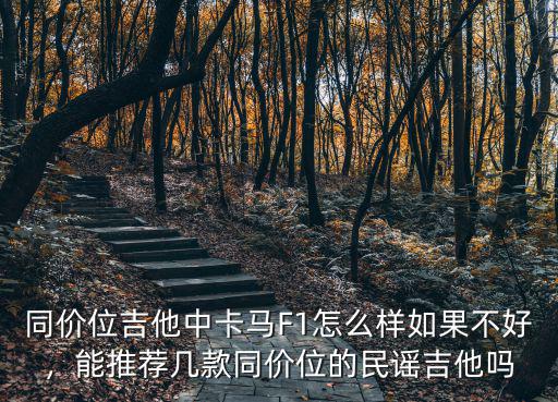 鄭州民謠吉他卡馬吉他怎么樣,想學民謠吉他