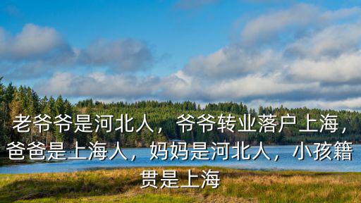 老爺爺是河北人，爺爺轉業落戶上海，爸爸是上海人，媽媽是河北人，小孩籍貫是上海