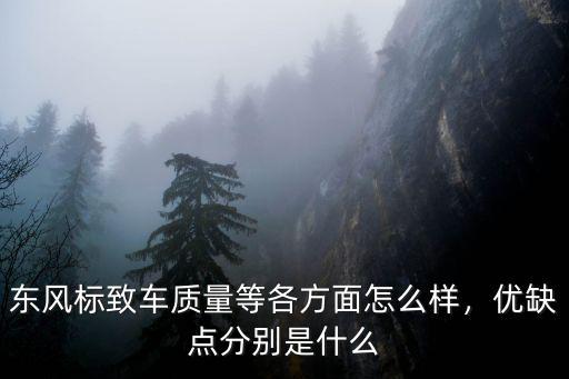 武漢標致車質量怎么樣,標致車怎么樣