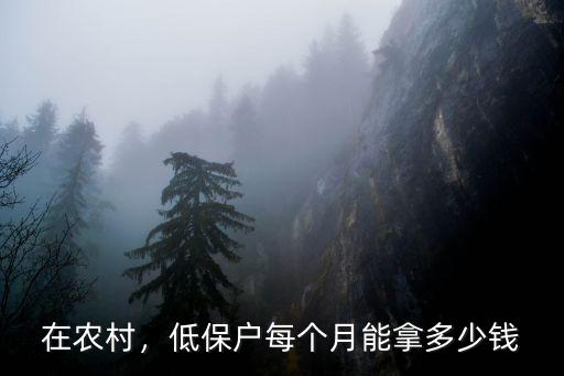 在農村，低保戶每個月能拿多少錢
