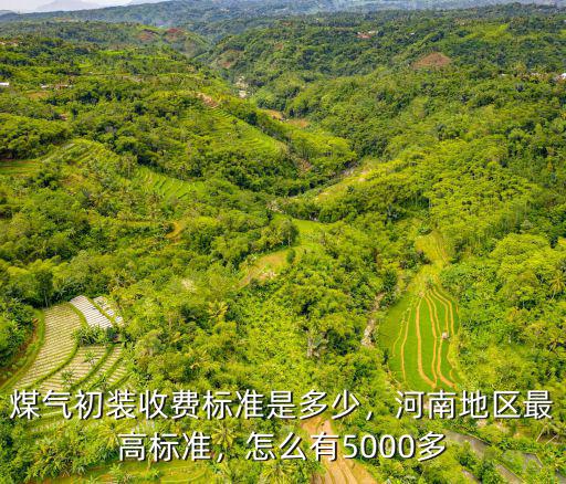 周口天然氣初裝標(biāo)準(zhǔn)收費(fèi)多少,煤氣初裝收費(fèi)標(biāo)準(zhǔn)是多少
