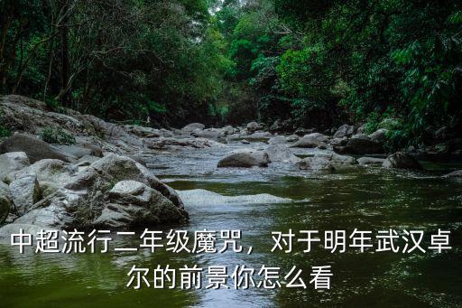 武漢卓爾08年怎么退出中超聯(lián)賽,那武漢卓爾會還退出聯(lián)賽嗎