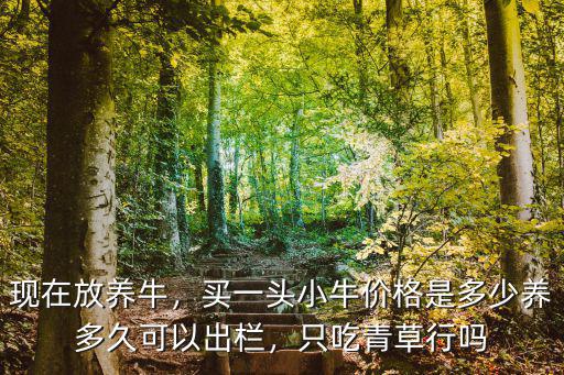現在放養牛，買一頭小牛價格是多少養多久可以出欄，只吃青草行嗎