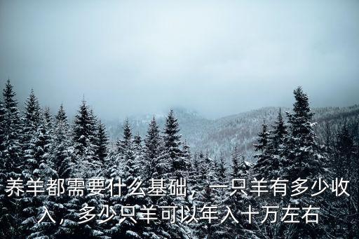 養羊都需要什么基礎，一只羊有多少收入，多少只羊可以年入十萬左右