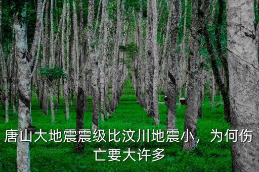 1976年唐山大地震多少級,1976年發(fā)生的唐山大地震