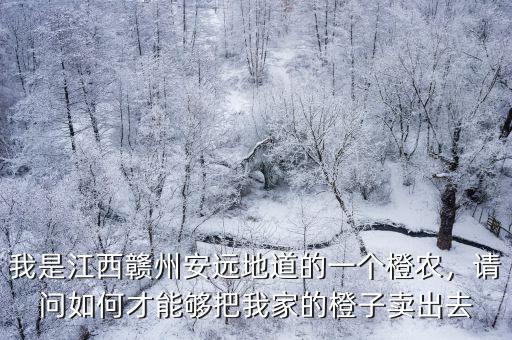 我是江西贛州安遠地道的一個橙農，請問如何才能夠把我家的橙子賣出去