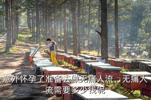 馬鞍山的無痛人流多少錢,無痛人流需要多少錢呢