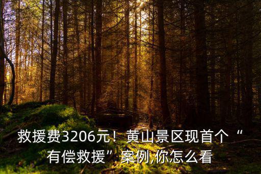 黃山有償救援一次多少錢,黃山風景區實施首次有償救援