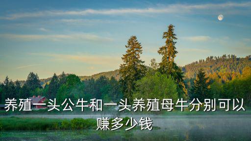 養(yǎng)殖一頭公牛和一頭養(yǎng)殖母牛分別可以賺多少錢