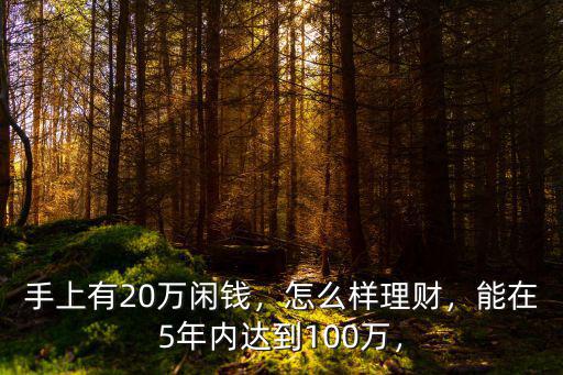 手上有20萬閑錢，怎么樣理財，能在5年內(nèi)達到100萬，