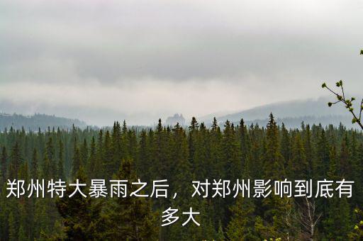 鄭州特大暴雨之后，對鄭州影響到底有多大