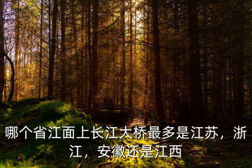 安徽有多少座長江大橋,安徽還是江西