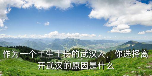 作為一個(gè)土生土長的武漢人，你選擇離開武漢的原因是什么