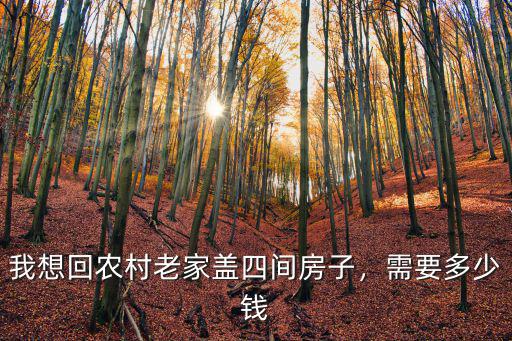 張家口蓋4間平房多少錢,大約需要多少錢