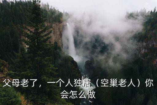 蕪湖空巢老人多少人,會有一大批的空巢老人出現