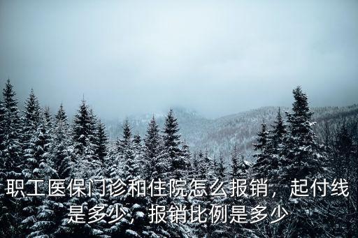 安慶職工醫(yī)保門診是多少,職工醫(yī)保門診和住院怎么報銷