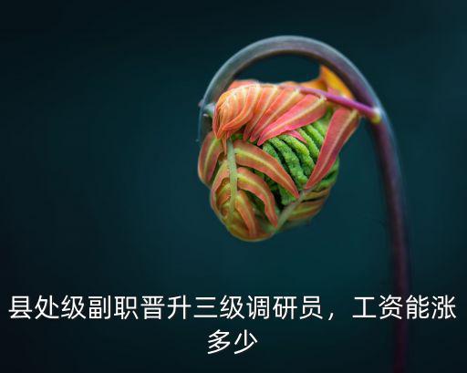 石家莊副處長工資多少,工資能漲多少