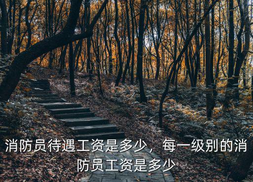 消防員待遇工資是多少，每一級別的消防員工資是多少