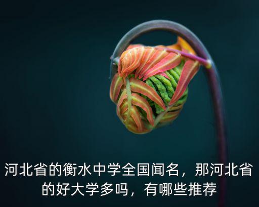 河北省總計多少個中學,河北省的衡水中學全國聞名