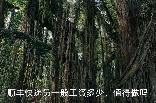 保定順豐分揀員工資多少,順豐快遞員一般工資多少