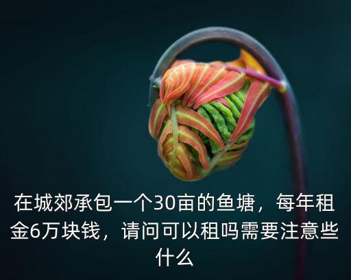 合肥租魚塘一年多少錢,一年費用大概需要多少