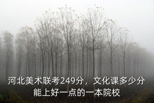 河北美術聯考249分，文化課多少分能上好一點的一本院校