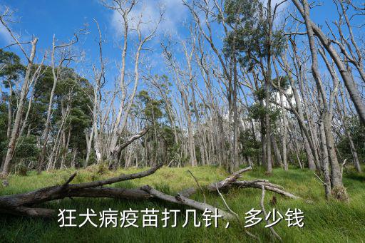 合肥市打狂犬病疫苗多少錢,打狂犬疫苗一共多少錢