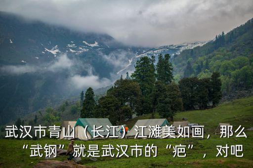 武漢市青山區美景怎么畫,武漢市青山區以后會怎么發展
