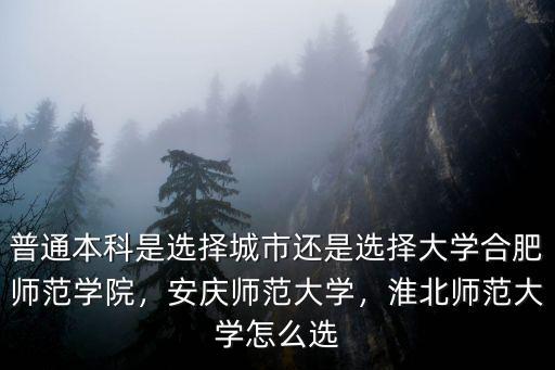 安慶師范大學(xué)15年分?jǐn)?shù)線是多少,淮北師范大學(xué)怎么選