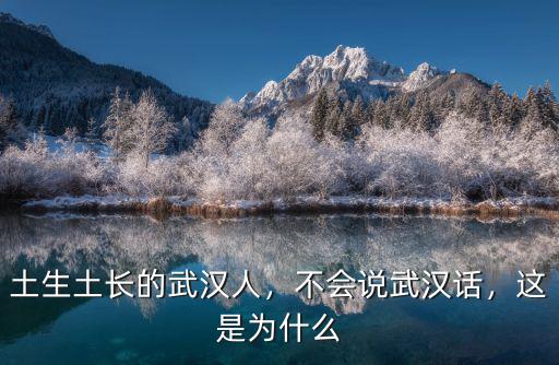 土生土長的武漢人，不會說武漢話，這是為什么