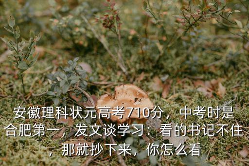 今年高考安徽的理科狀元多少分,安徽理科狀元高考710分