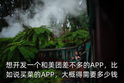 安徽點(diǎn)餐系統(tǒng)軟件開(kāi)發(fā)需要多少錢(qián),大概得需要多少錢(qián)