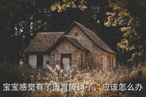 黃石孩子有語言障礙怎么辦,擔心孩子有語言障礙怎么辦