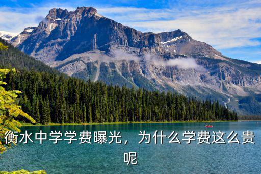 衡水三中初中學(xué)費(fèi)多少錢,衡水中學(xué)學(xué)費(fèi)是多少