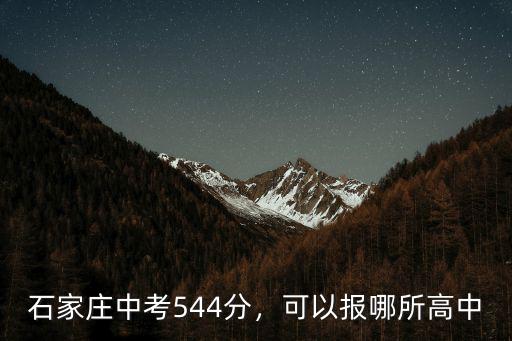 石家莊44高中有多少人,石家莊中考544分