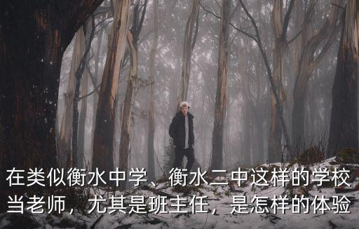 在類似衡水中學、衡水二中這樣的學校當老師，尤其是班主任，是怎樣的體驗