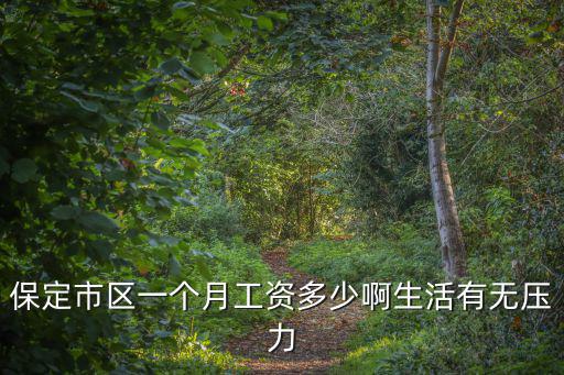 保定市區一個月工資多少啊生活有無壓力