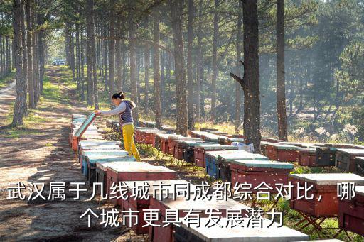 湖北武漢怎么樣位于幾線城市,武漢這個城市怎么樣