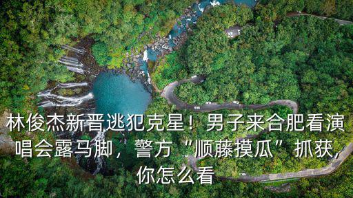 林俊杰新晉逃犯克星！男子來合肥看演唱會(huì)露馬腳，警方“順藤摸瓜”抓獲,你怎么看