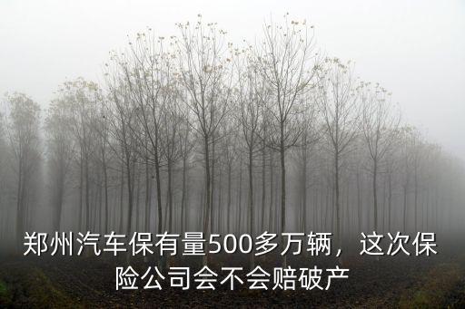 鄭州汽車(chē)保有量怎么算,鄭州汽車(chē)保有量500多萬(wàn)輛