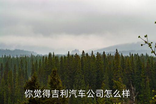 你覺得吉利汽車公司怎么樣
