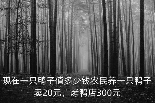 商丘市虞城縣鴨子多少錢一只,現在一只鴨子值多少錢